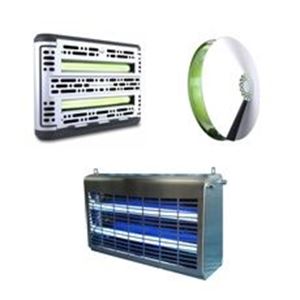 Imagem de categoria Insecto-caçadores