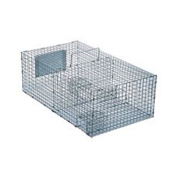 Imagem de Armadilha para captura de pardais