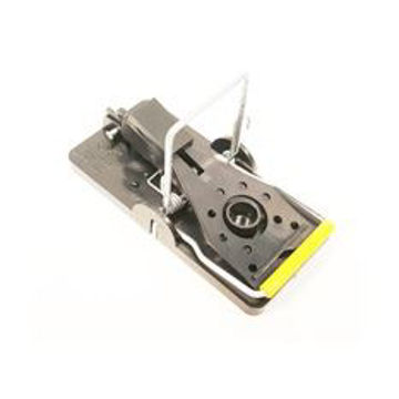 Imagem de Ratoeira para rato doméstico