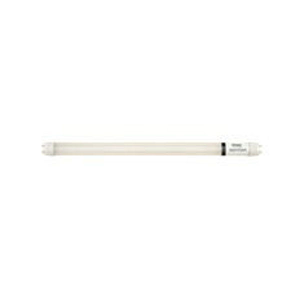 Lâmpadas insecto-caçadores Retrofit LED